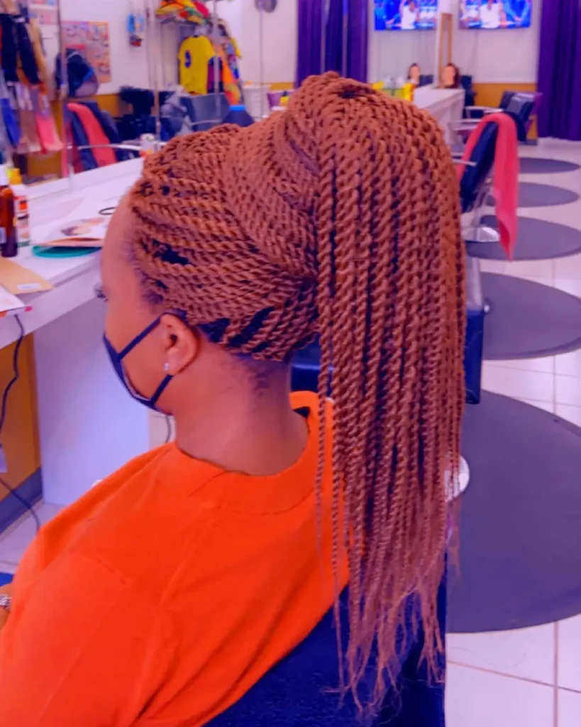 High Ponytail Crochet Braids